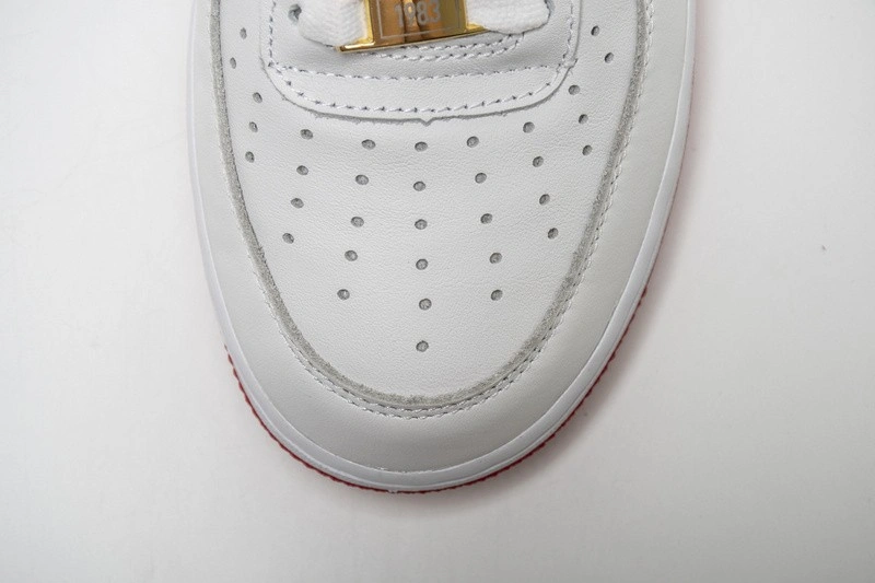 Nike Air Force 1 Low Fo Fi Fo  AQ5107-100