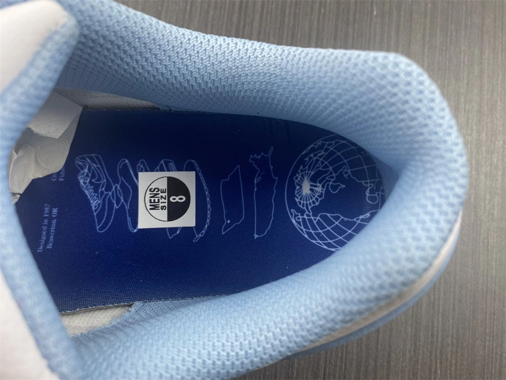 Nike Air Max 1 Premium Blueprint - DR0448-100