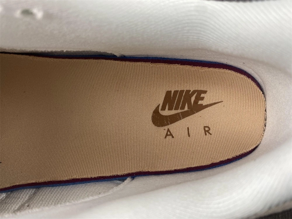 Nike Air Max 1 Premium Wabi-Sabi (W)  DQ8656-133