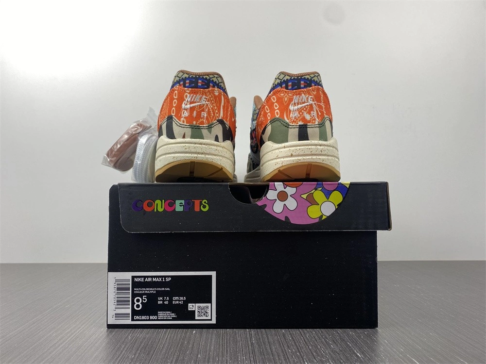 Nike Air Max 1 SP Concepts Heavy - DN1803-900