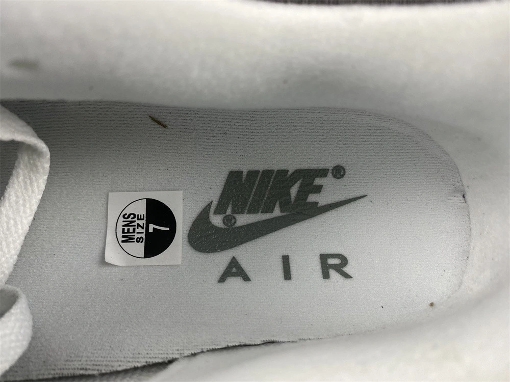 Nike Air Max 1 Spiral Sage - DB5074-100