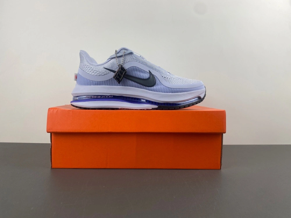 Nike Air Zoom Pegasus Premium Persian Violet HQ2592-004