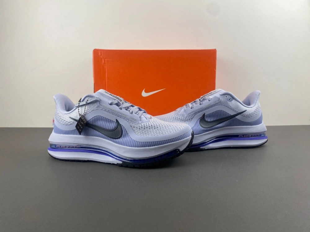 Nike Air Zoom Pegasus Premium Persian Violet HQ2592-004