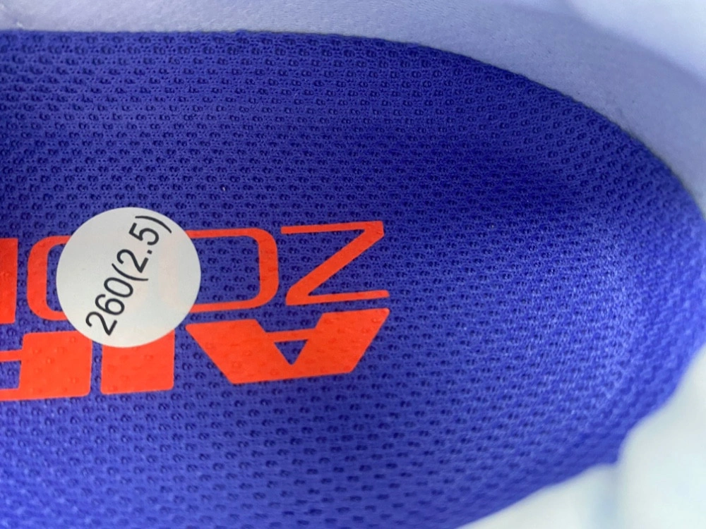 Nike Air Zoom Pegasus Premium Persian Violet HQ2592-004