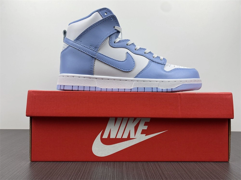 Nike Dunk High Aluminum WMNS DD1869-107
