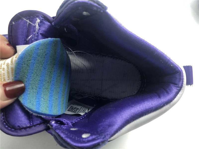 Nike Dunk High WMNS “Varsity Purple”   DC5382-100