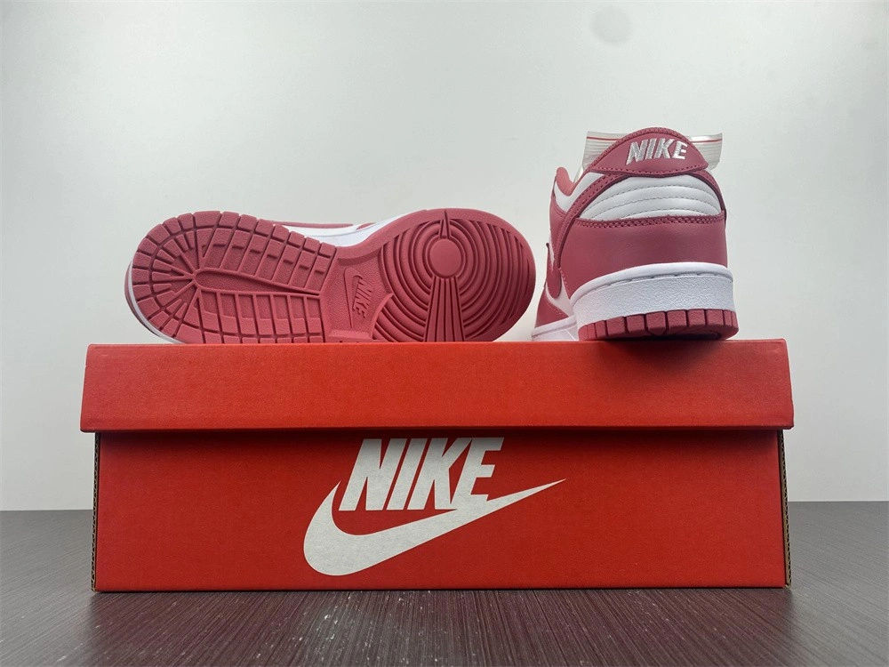 Nike Dunk Low Archeo Pink DD1503-111