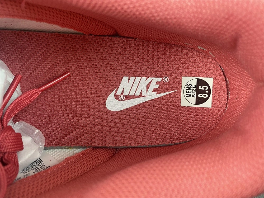 Nike Dunk Low Archeo Pink DD1503-111