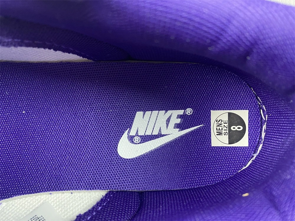 Nike Dunk Low Championship Court Purple  DD1391-104