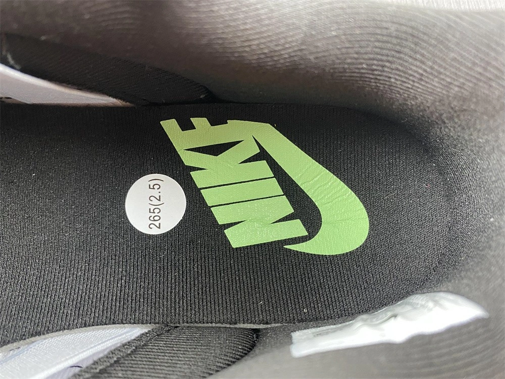 Nike Dunk Low Disrupt 2 Just Do It Snakeskin (W) DV1490-161