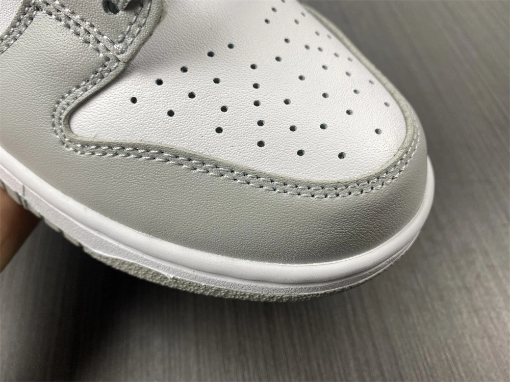 Nike Dunk Low Grey Fog - DD1391-103