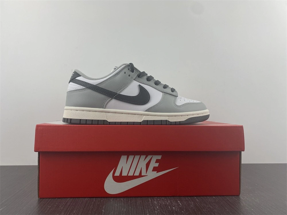 Nike Dunk Low Light Smoke Grey (W) - DD1503-117