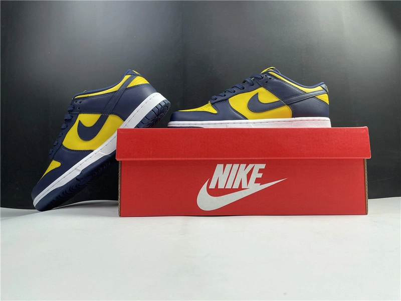 Nike Dunk Low Michigan   DD1391-700