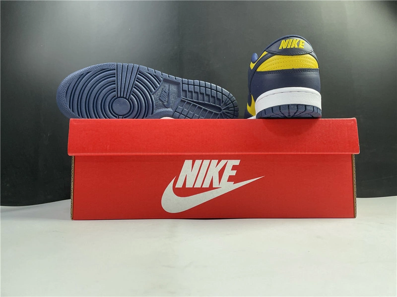 Nike Dunk Low Michigan   DD1391-700