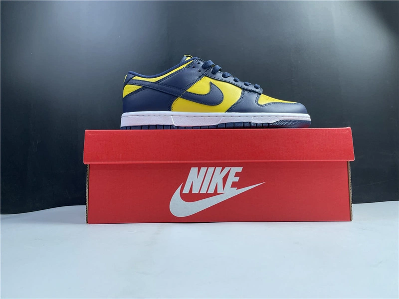 Nike Dunk Low Michigan   DD1391-700