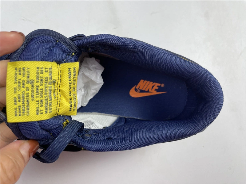 Nike Dunk Low Michigan   DD1391-700