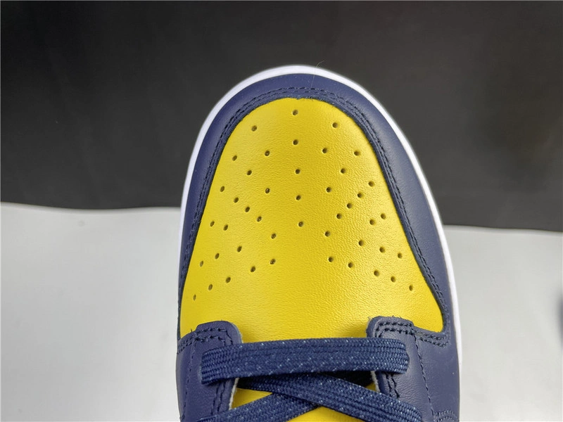 Nike Dunk Low Michigan   DD1391-700