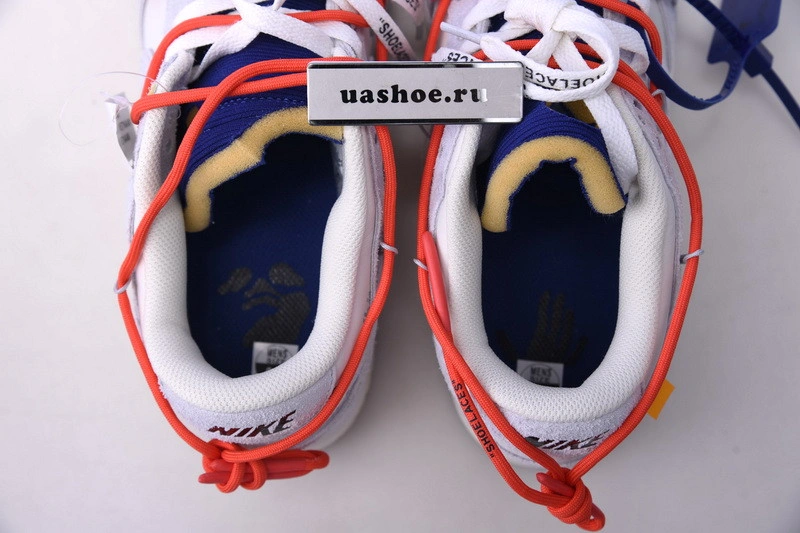 Nike Dunk Low OWT Lot 13 - DJ0950-110
