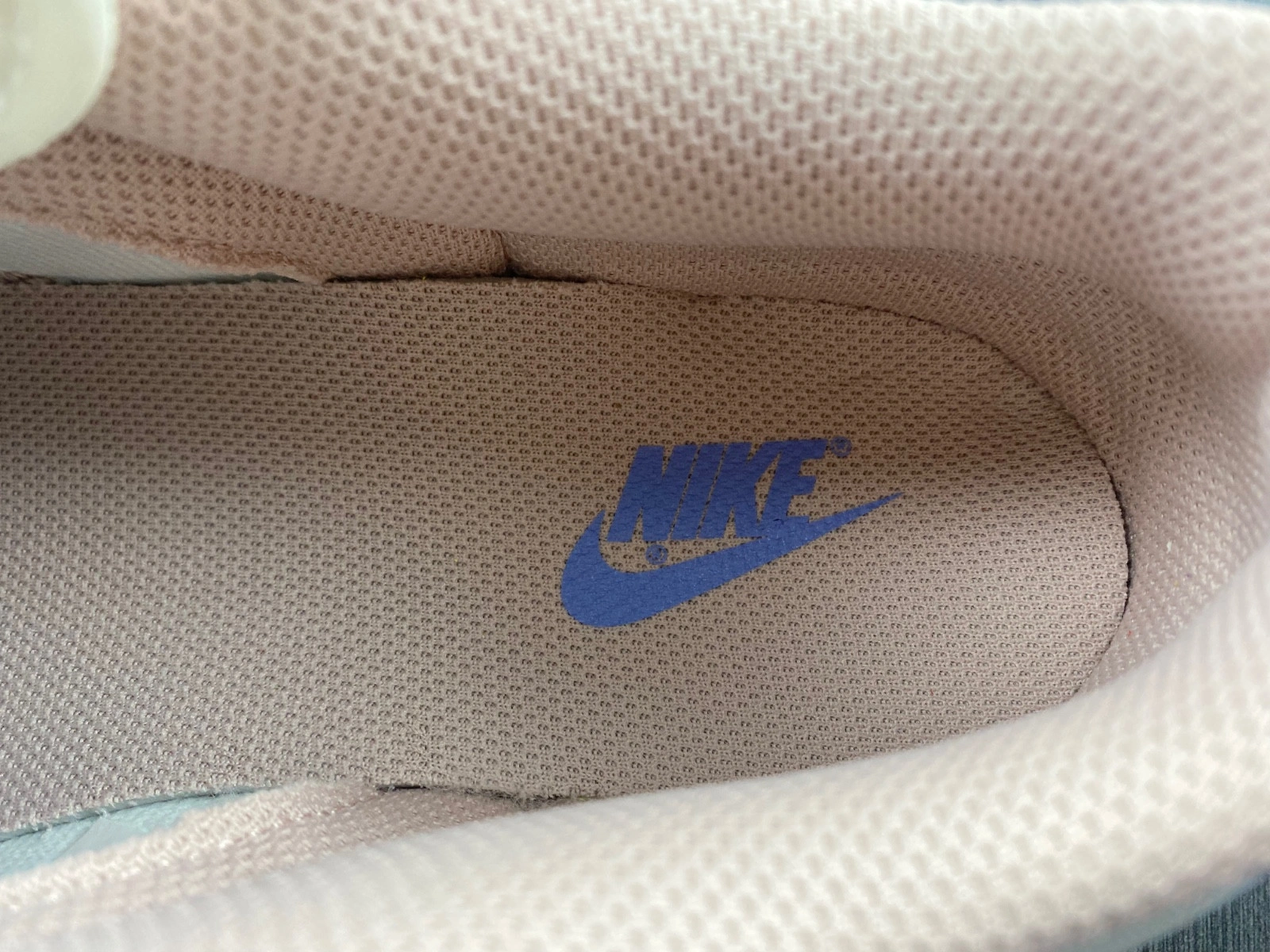Nike Dunk Low Pink Oxford (W) - DD1503-601