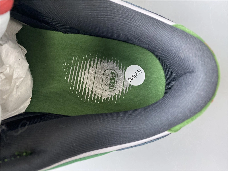 Nike Dunk Low Pro SB   heineken 304292-302