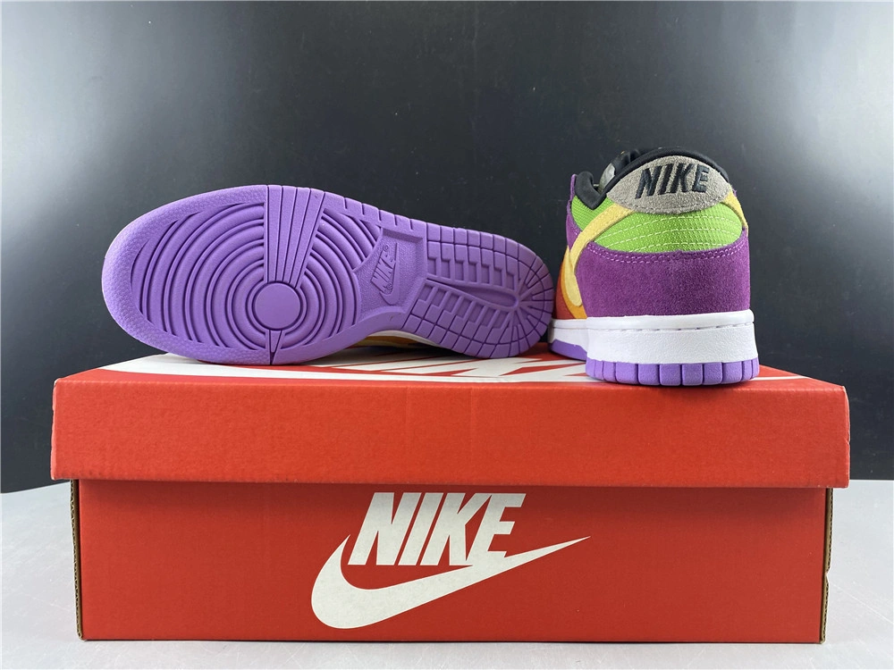 Nike Dunk Low SB Viotech  CT5050-500