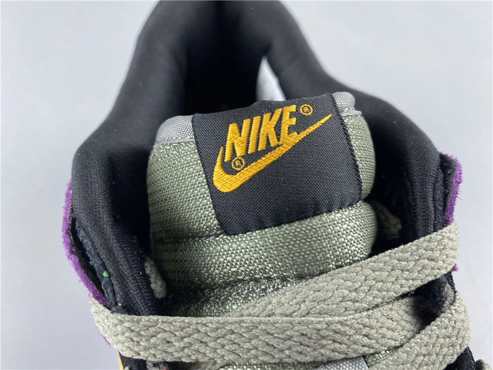 Nike Dunk Low SB Viotech  CT5050-500