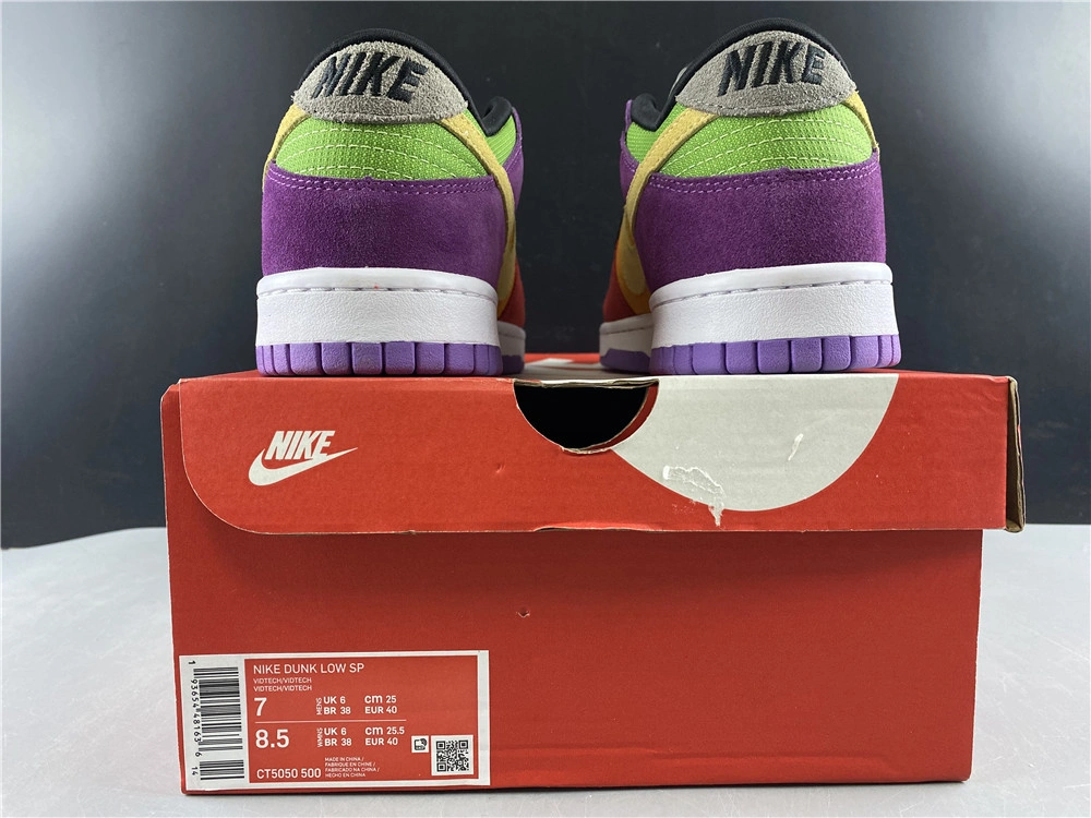 Nike Dunk Low SB Viotech  CT5050-500
