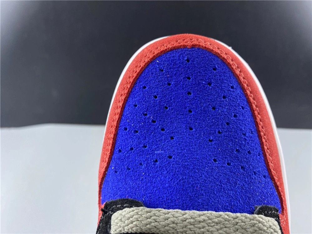 Nike Dunk Low SB Viotech  CT5050-500