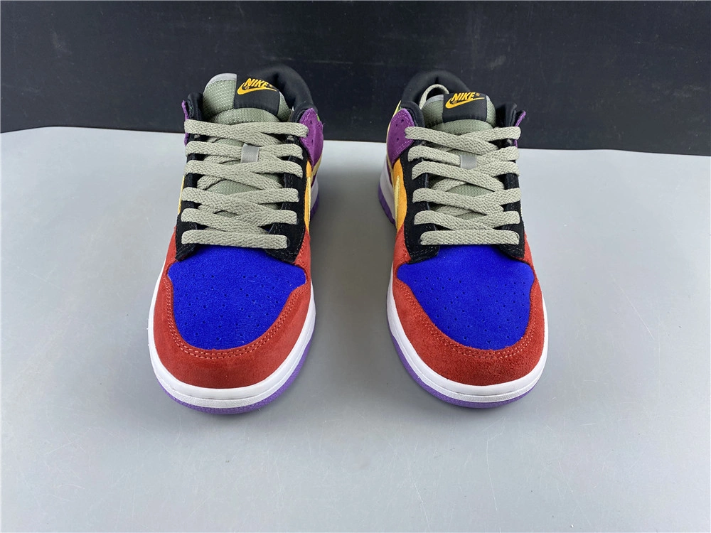 Nike Dunk Low SB Viotech  CT5050-500