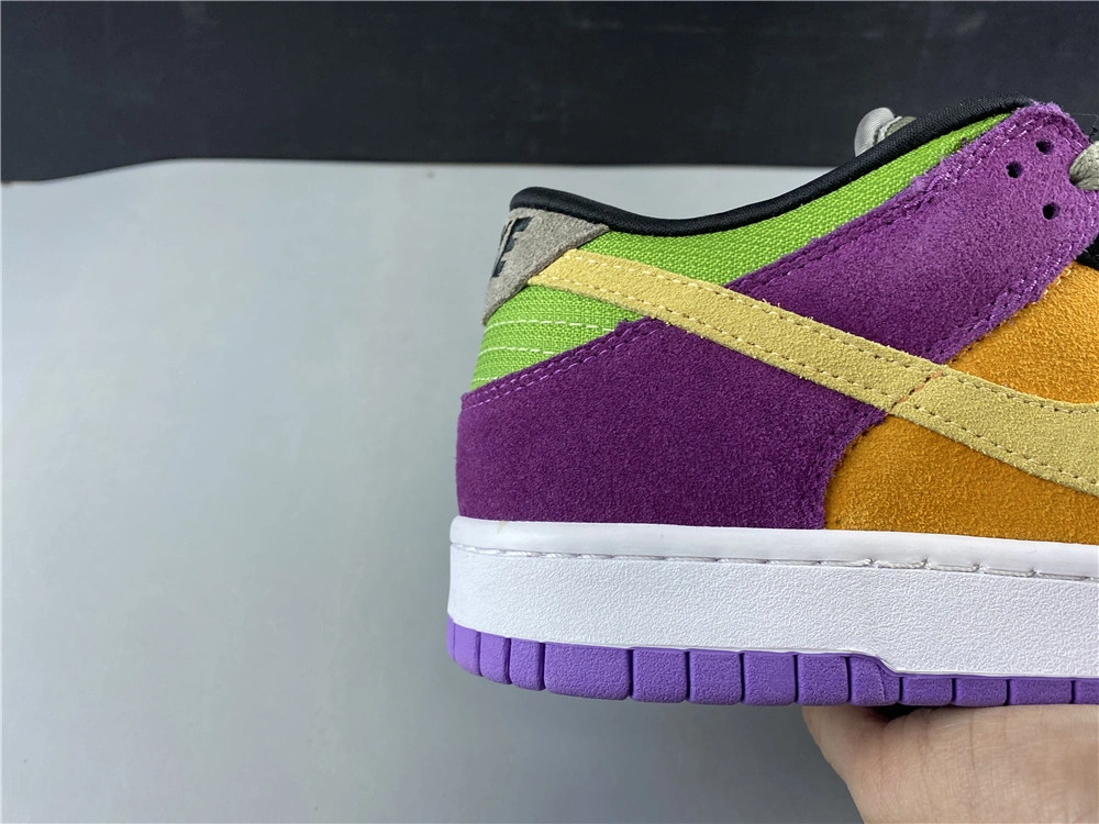 Nike Dunk Low SB Viotech  CT5050-500