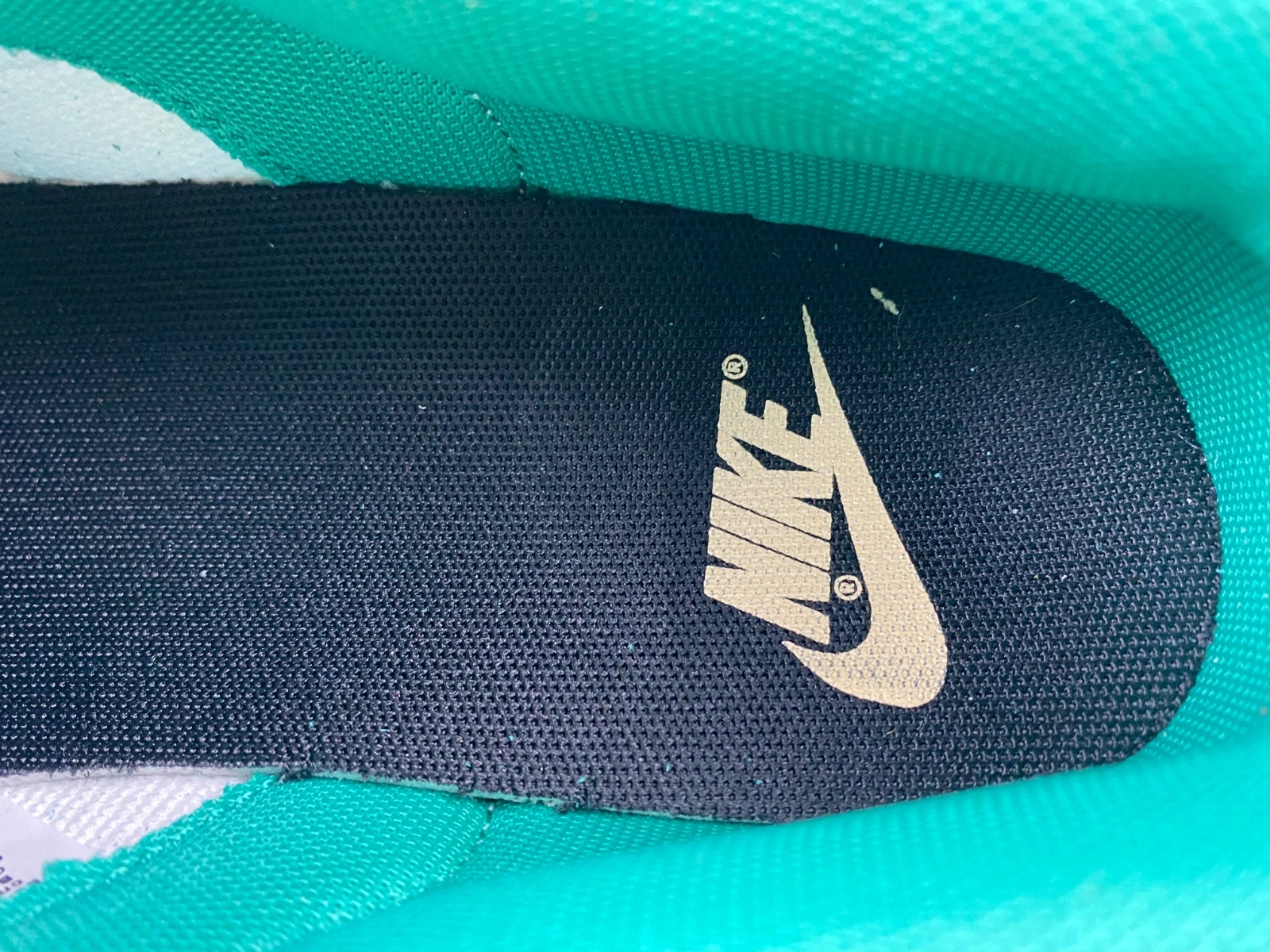 Nike Dunk Low SE 85 Neptune Green (W)   DO9457-101