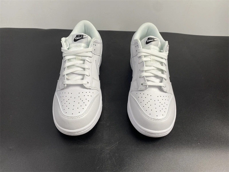 Nike Dunk Low Triple White DD1503-109