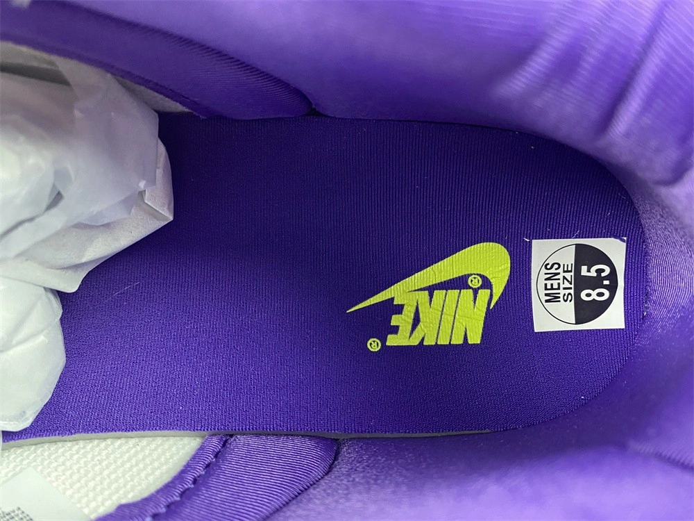 Nike Dunk Low Union Passport Pack Court Purple   DJ9649-500