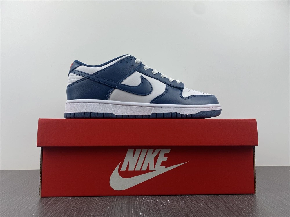 Nike Dunk Low Valerian Blue - DD1391-400