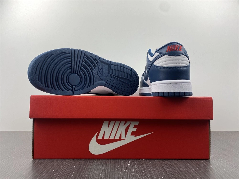 Nike Dunk Low Valerian Blue - DD1391-400