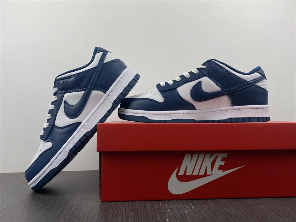 Nike Dunk Low Valerian Blue - DD1391-400