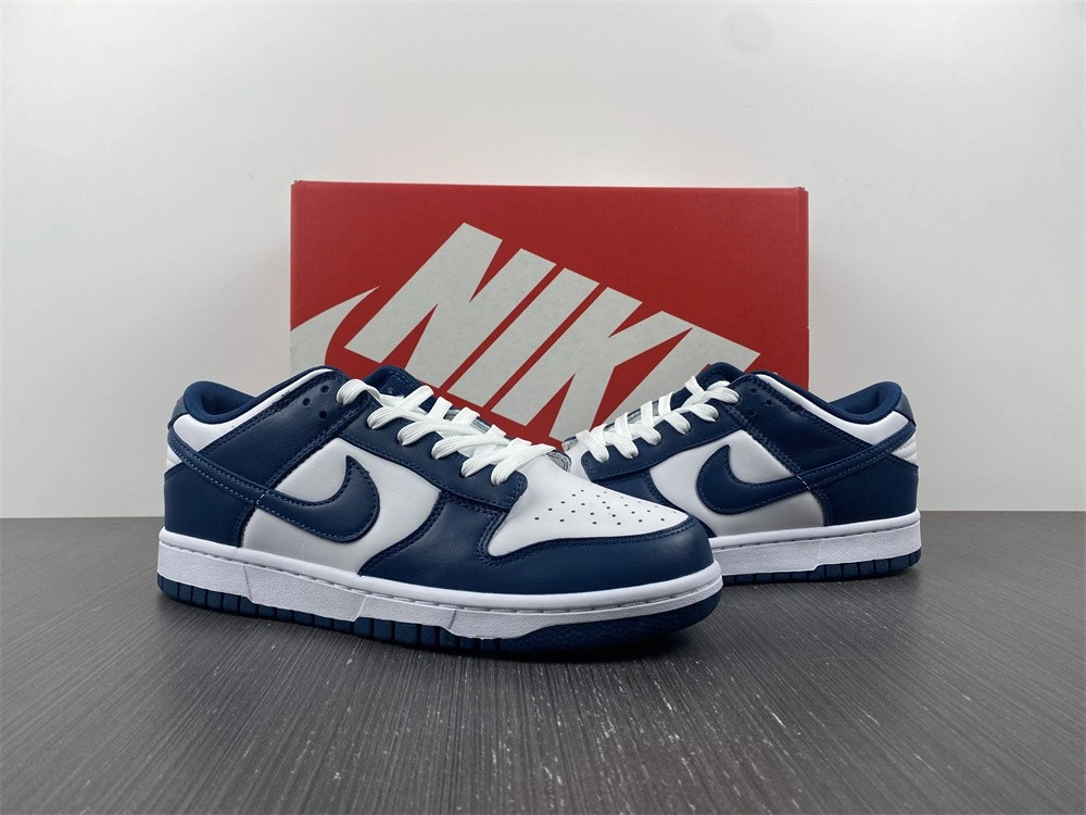 Nike Dunk Low Valerian Blue - DD1391-400