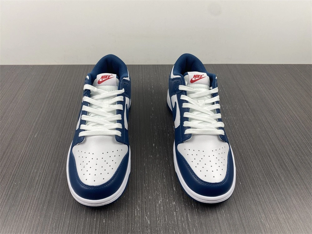 Nike Dunk Low Valerian Blue - DD1391-400