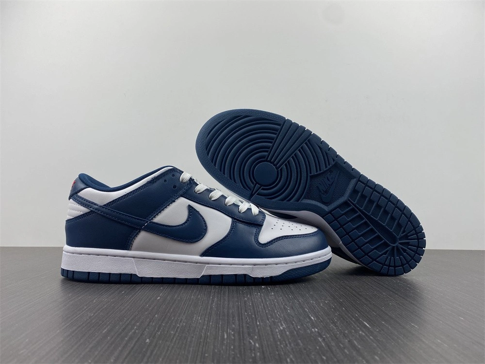 Nike Dunk Low Valerian Blue - DD1391-400