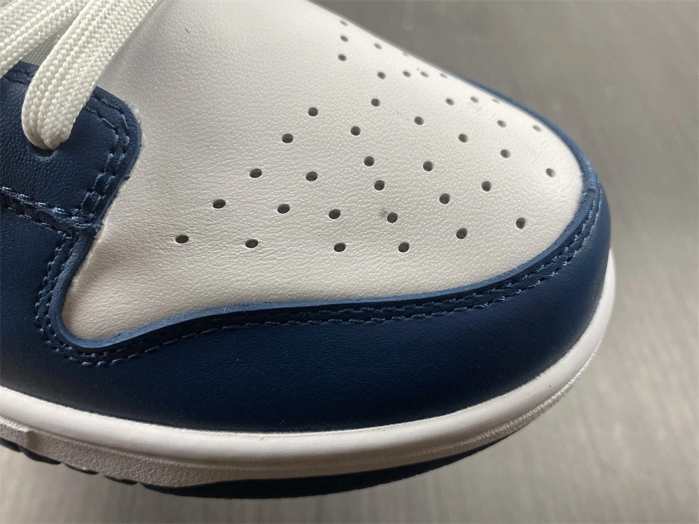 Nike Dunk Low Valerian Blue - DD1391-400