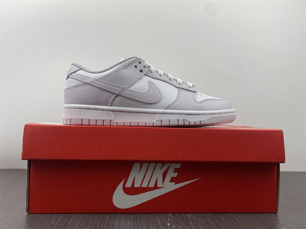 Nike Dunk Low Venice (W) - DD1503-116