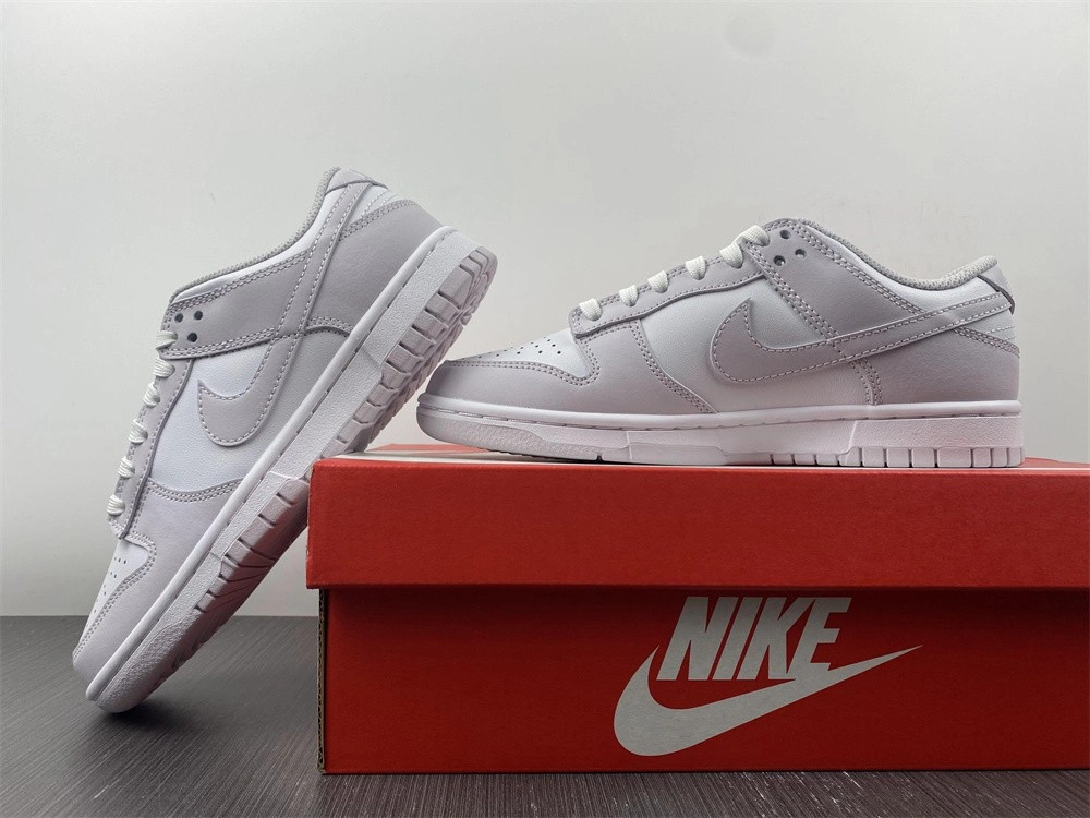 Nike Dunk Low Venice (W) - DD1503-116