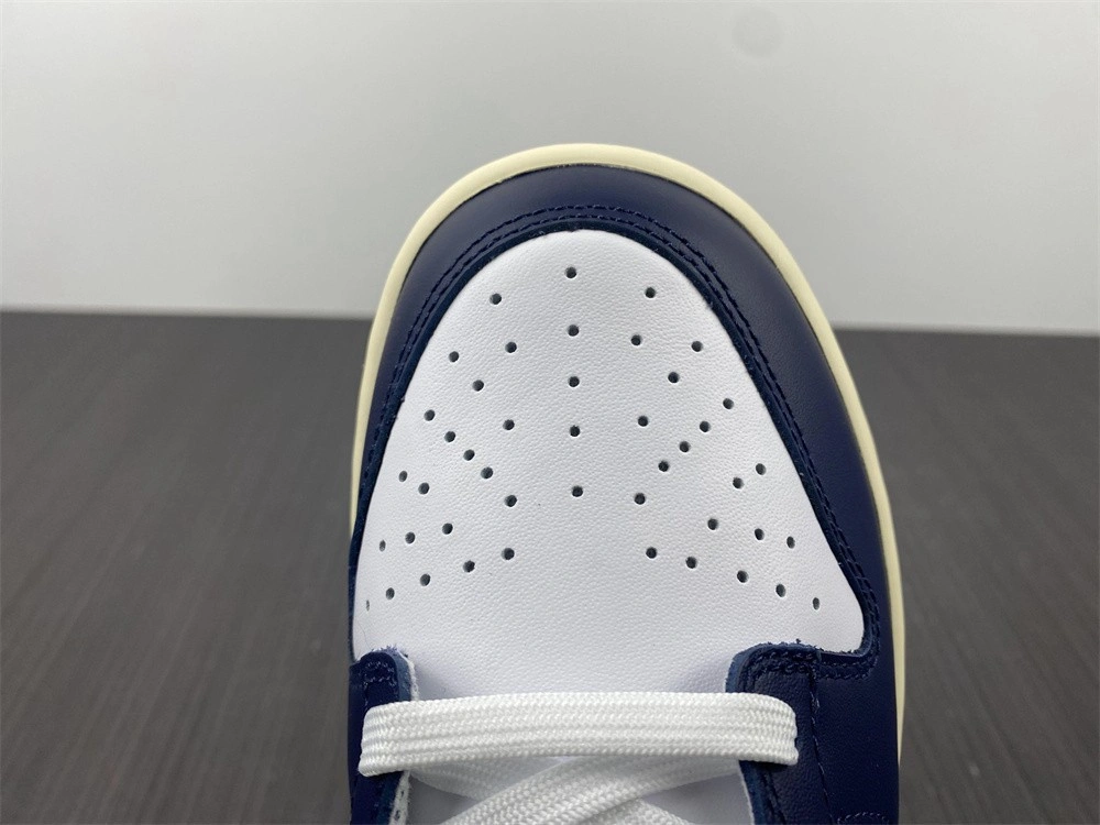 Nike Dunk Low Vintage Navy DD1503-115