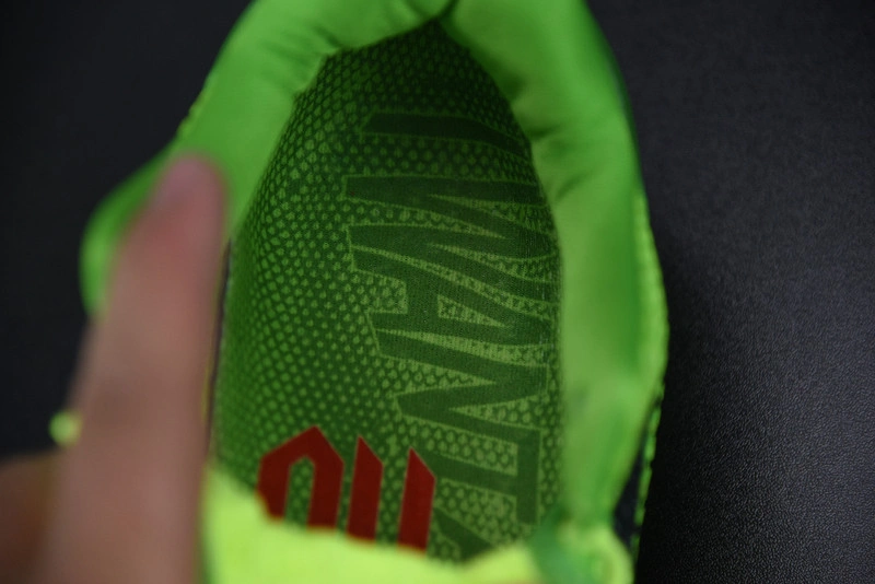 Nike Kobe 6 Protro Grinch CW2190-300