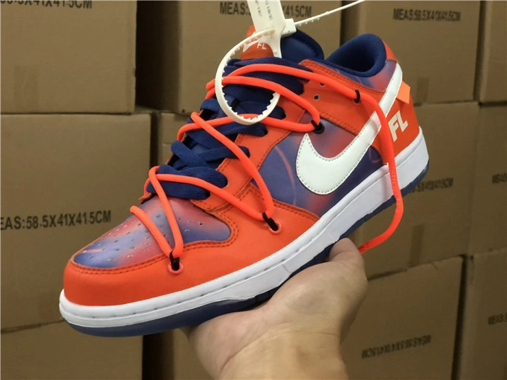 Nike OWT x Futura x SB Dunk