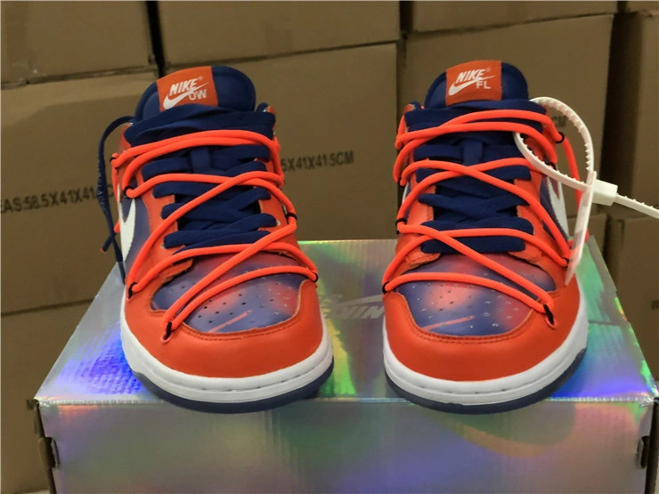 Nike OWT x Futura x SB Dunk