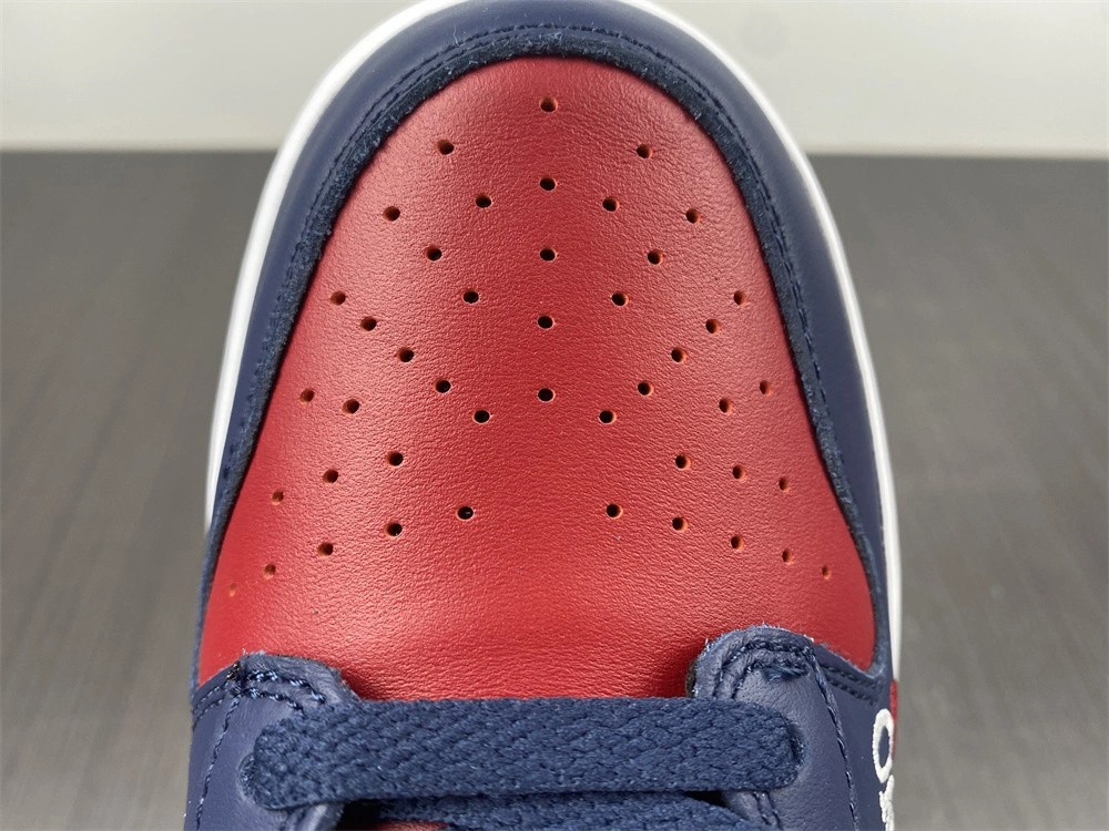 Nike SB Dunk High By Any Means DN3741-600