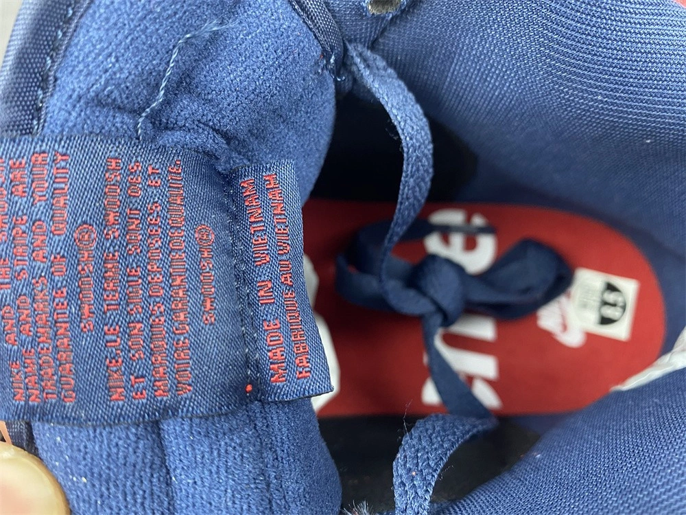 Nike SB Dunk High By Any Means DN3741-600