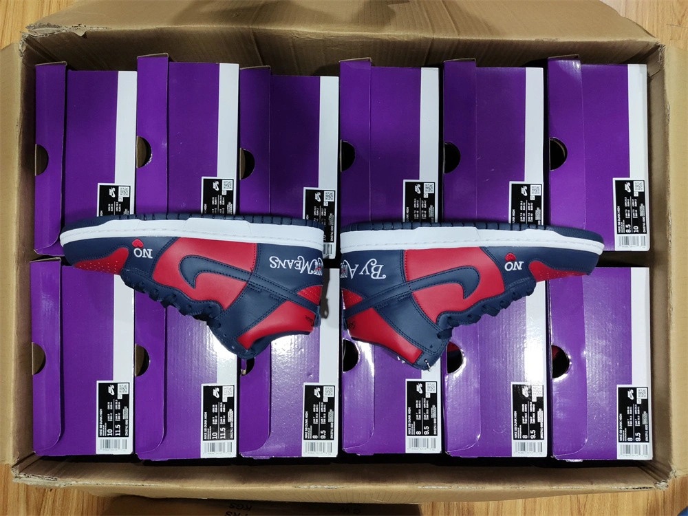 Nike SB Dunk High By Any Means DN3741-600