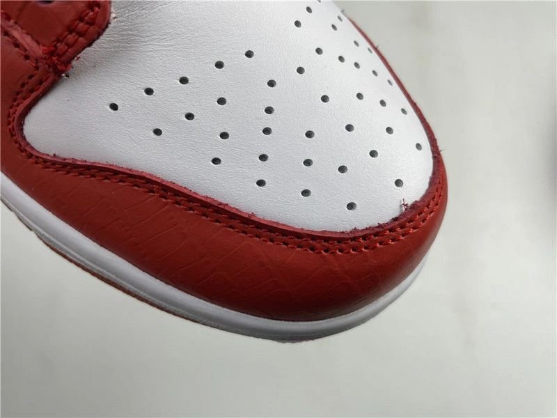 Nike SB Dunk Low Red DH3228-161